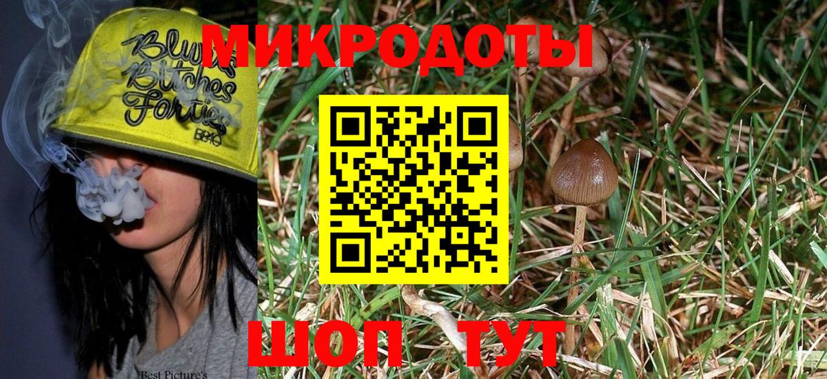 Лянтор  Галлюциногенные грибы Psilocybe  Вход с VPN 